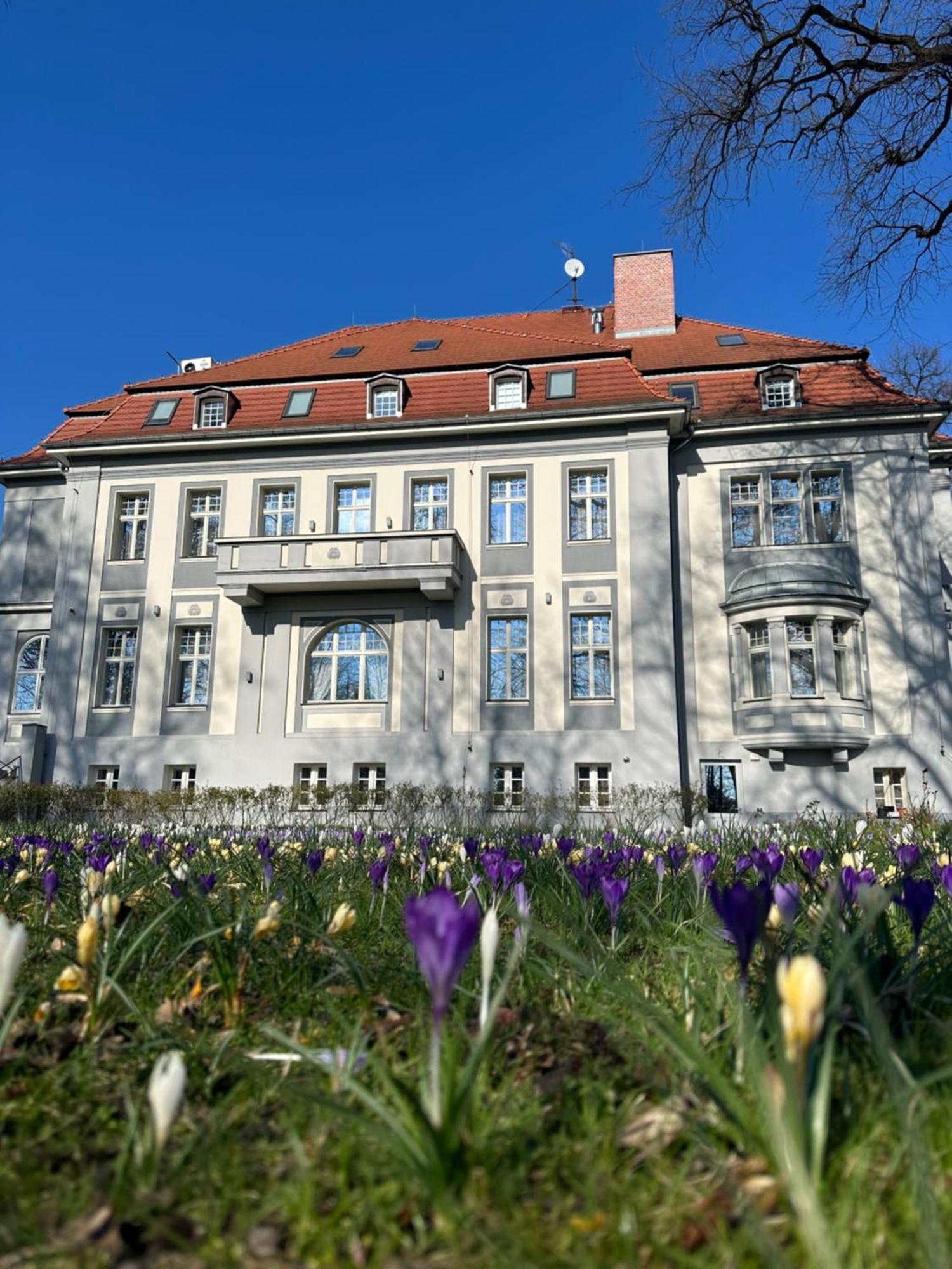 Hotel Willa Starosty Miedzyrzecz Exterior photo